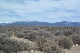 Typical New Mexico landscape: Desert and Brush With a Background Outcrop of the Rocky Mountains